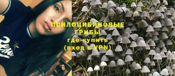 Альфа ПВП Остров